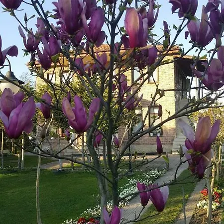 Atli Kosk Konaklama Farm stay